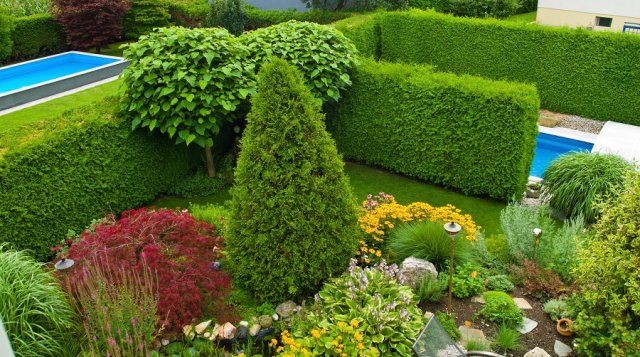 Pin on for beautiful gardens